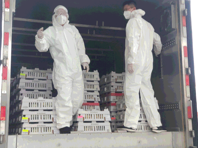 微信图片_20200910144649.gif 微信图片_20200910144649.gif