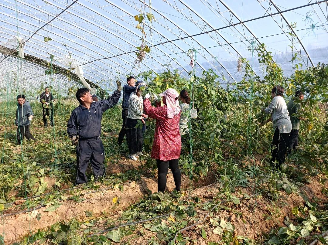 微信图片_20221017144202.jpg
